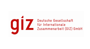2017 GIZ Logo